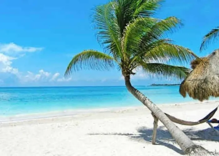 Grand Blue Playa Apartment